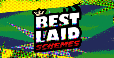 Best Laid Schemes