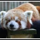 Avatar for Andrés Hansson